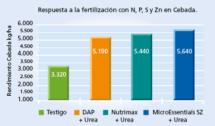 gráfico de rendimiento