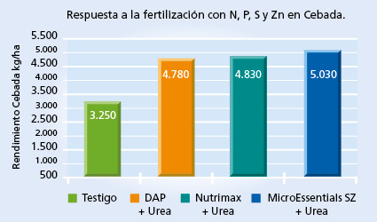 gráfico de rendimiento