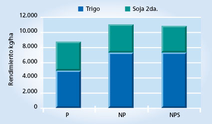 gráfico de rendimiento