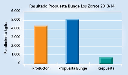 gráfico de rendimiento