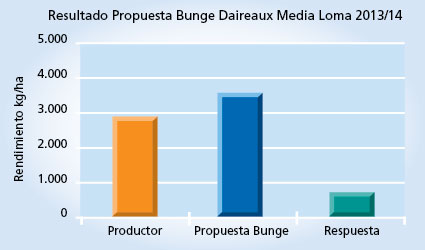gráfico de rendimiento