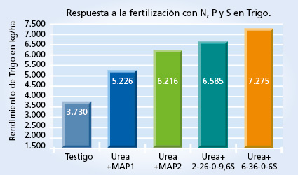gráfico de rendimiento