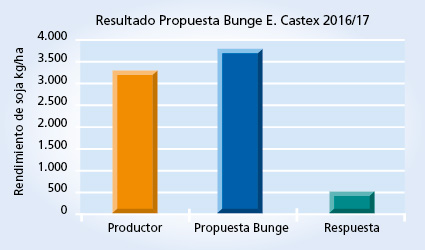 Gráfico 1