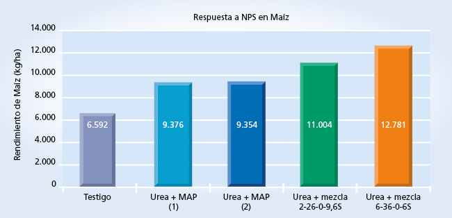 Gráfico de resultados