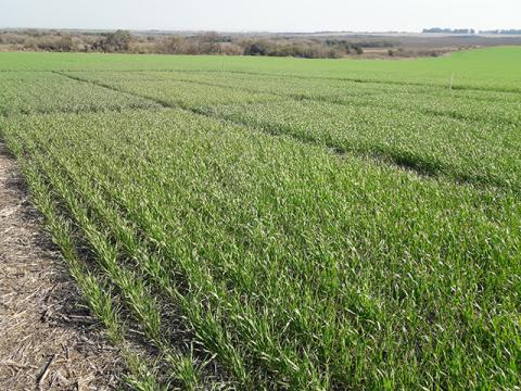 Mejorar las prácticas agrícolas