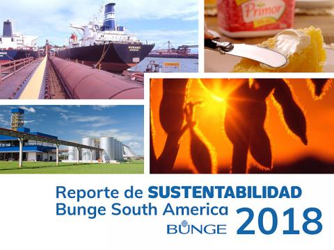 Informe de Sustentabilidad 2018
