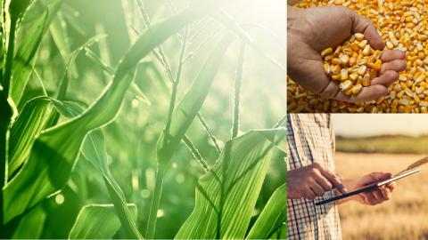 Bunge presenta su nueva línea de fertilizantes SolMIX ECO POWER